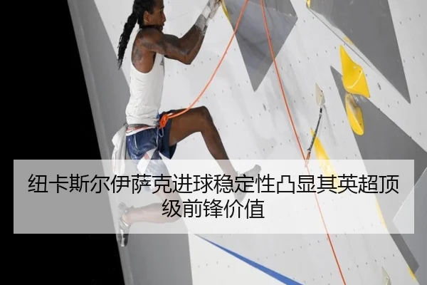 纽卡斯尔伊萨克进球稳定性凸显其英超顶级前锋价值